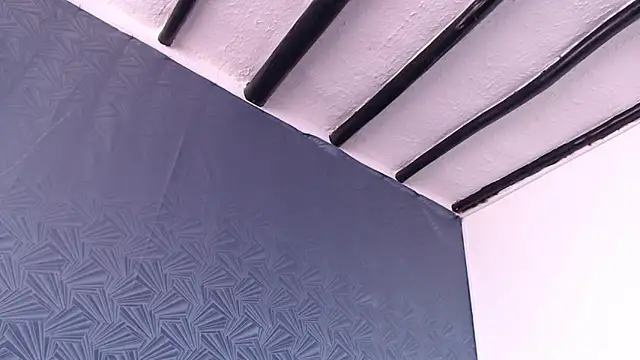 Freyja_eter webcam
