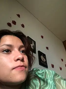 3littles webcam