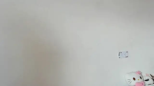 Eirlysx webcam