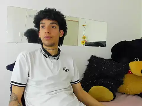 Ryder-Stone webcam