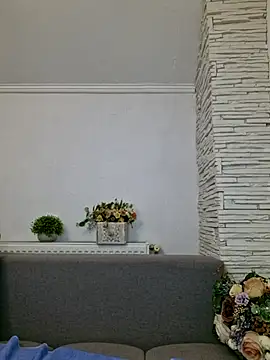 siamelton webcam