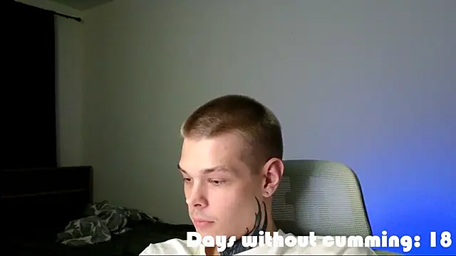 DENIS_HERE webcam