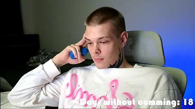 DENIS_HERE webcam