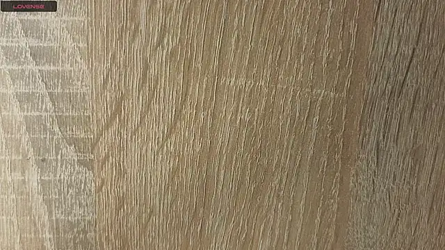NoFace_Model webcam
