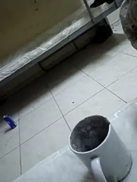 ConvoyedSubgroup webcam