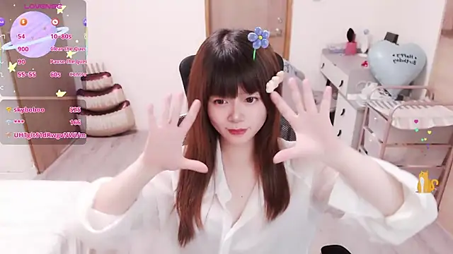 a0513 webcam