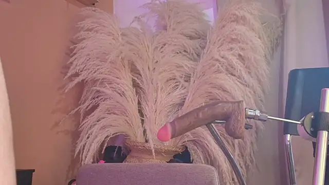 Lindaevans1 webcam