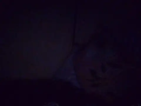 fatpusy002 webcam