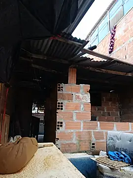flaco_vergoon webcam