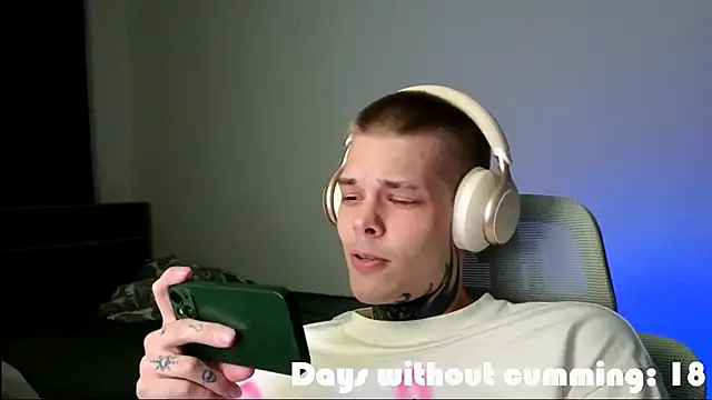 DENIS_HERE webcam