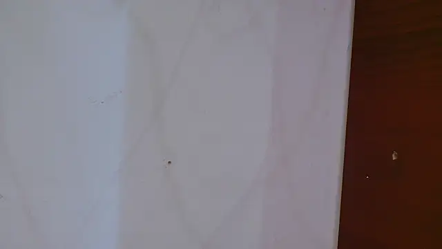 Velvet_Sex webcam