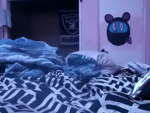 Blkstylion webcam