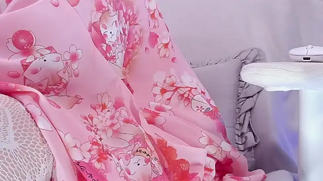 Supaidagaru webcam
