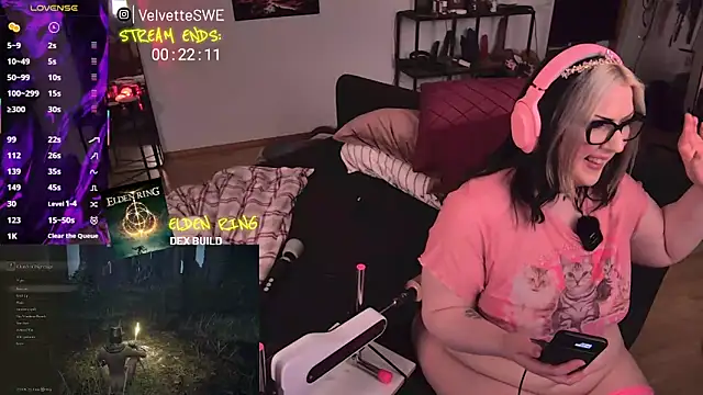 VelvetteSWE webcam