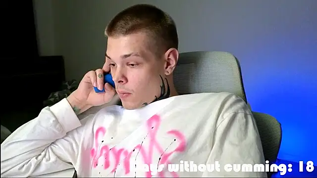 DENIS_HERE webcam
