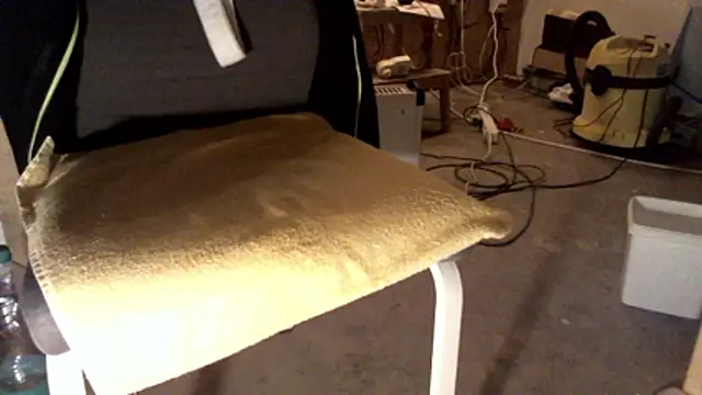celsior45 webcam