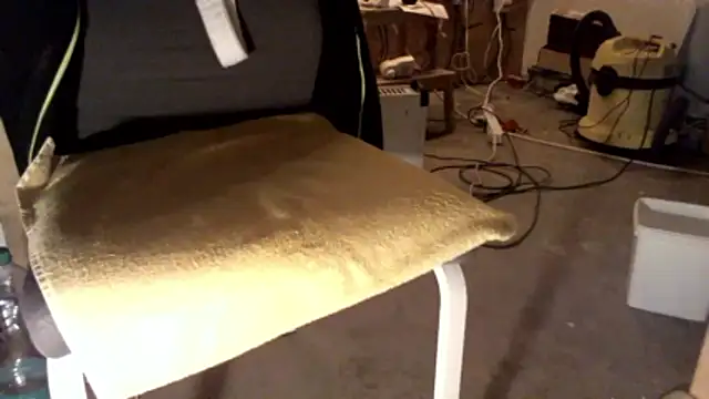 celsior45 webcam