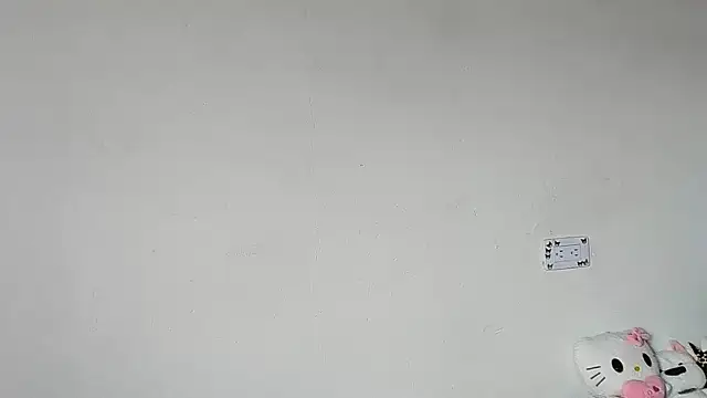 Eirlysx webcam