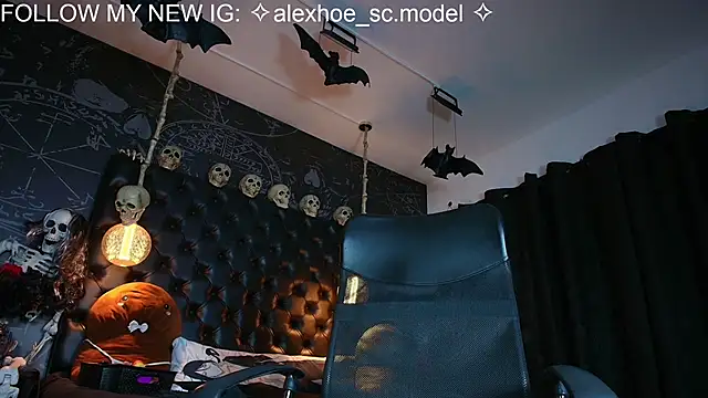 AlexHoe_ webcam