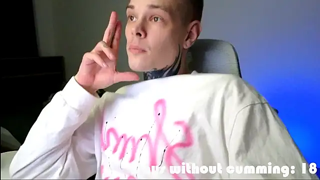 DENIS_HERE webcam