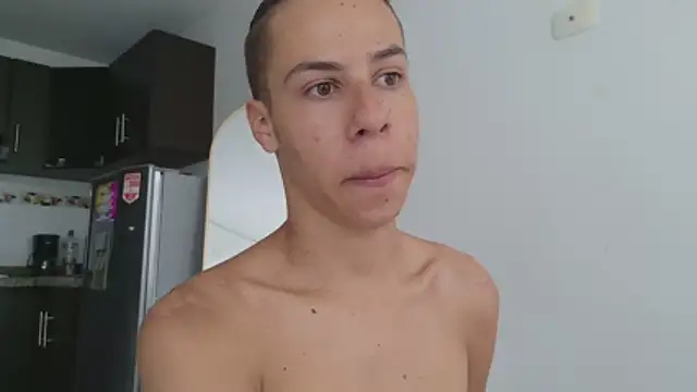 grey___27 webcam