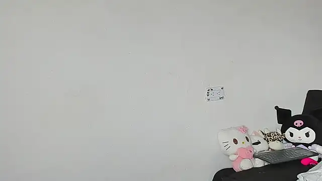 Eirlysx webcam