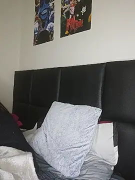 Aranzatits webcam