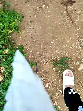 PIGHIGHDIRTY_p0
