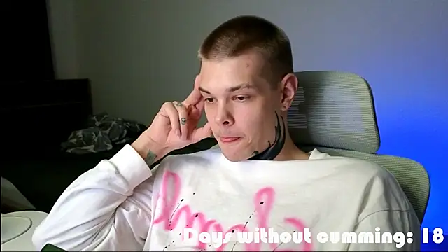 DENIS_HERE webcam