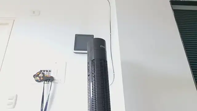 grey___27 webcam