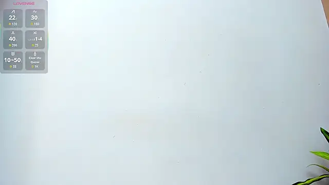 AriSweet webcam