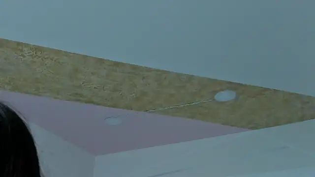 PandoraRider webcam