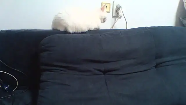 KaelNox webcam