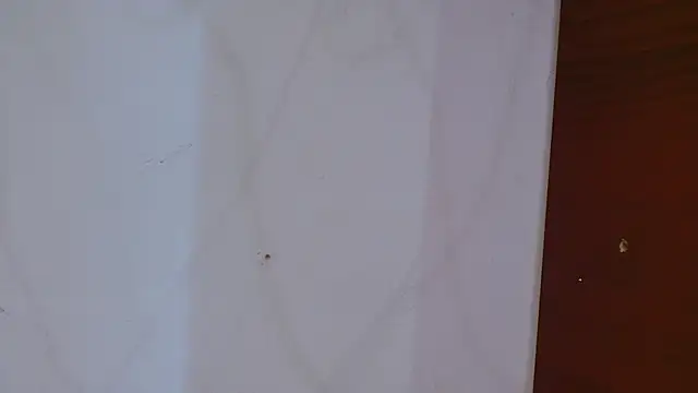 Velvet_Sex webcam