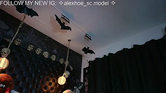 AlexHoe_ webcam