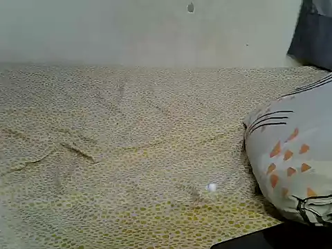 For_youu webcam