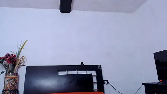 AikoTailor webcam