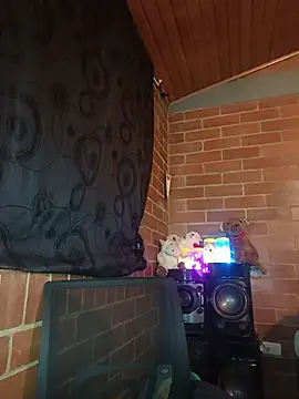 Alexandrina webcam