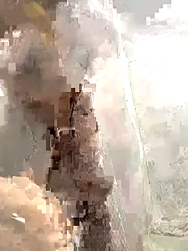 ShowedWringer webcam
