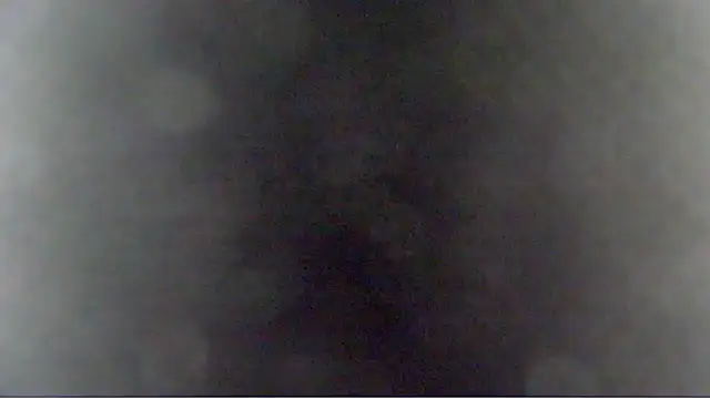 Leo200514 webcam