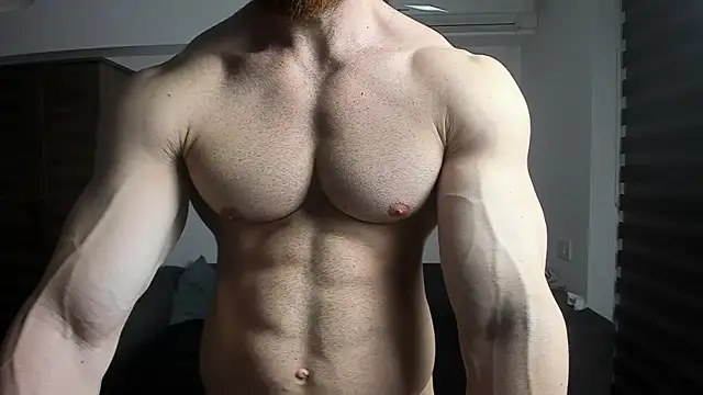 ZkkBlitz webcam