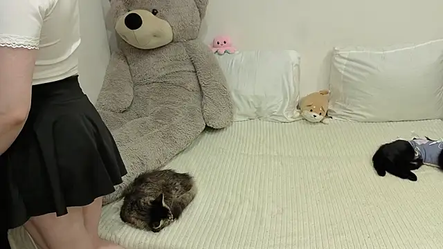 Nikagaze webcam