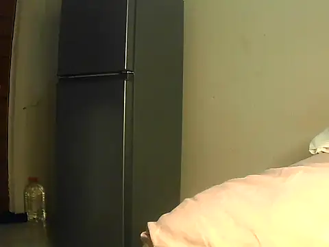 Tbangs_ webcam