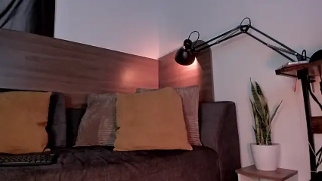 bruno_woods webcam