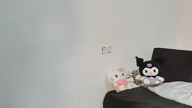 Eirlysx webcam
