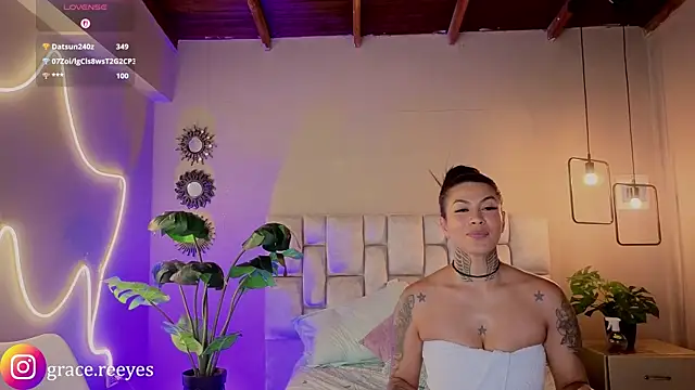 Silvermistt webcam