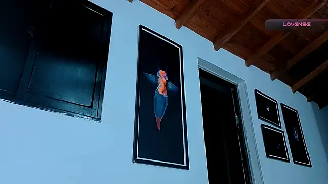 SilvaBranko webcam
