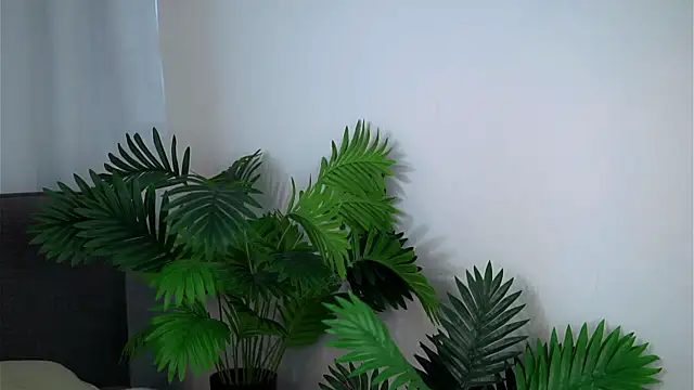 TemikaAltvater webcam