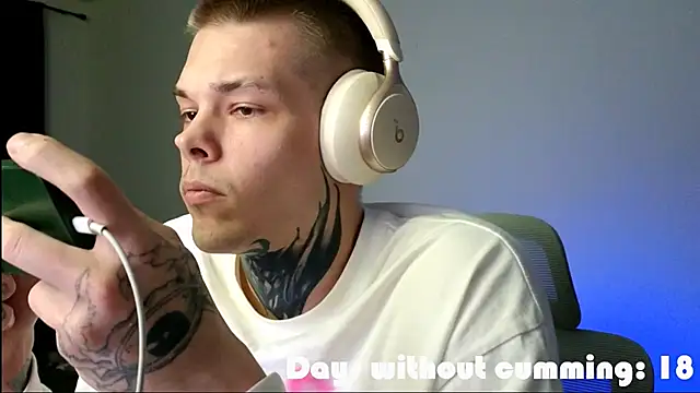 DENIS_HERE webcam