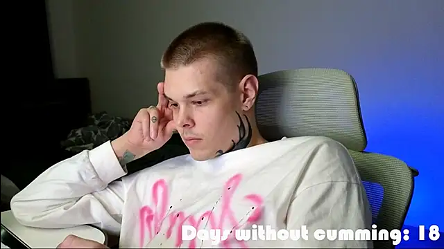 DENIS_HERE webcam